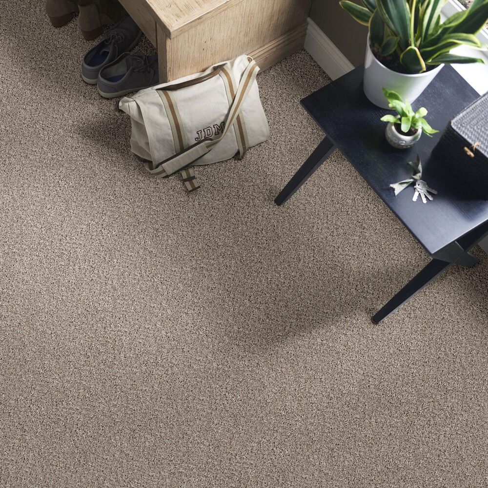 Philadelphia Mixed Essentials Carpet in Grecian Beige, , large