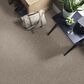 Philadelphia Mixed Essentials Carpet in Grecian Beige, , large