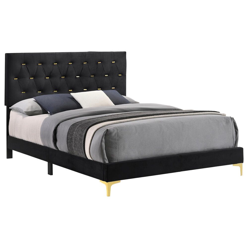 Pacific Landing Kendall Queen Bed in Black and Gold, , large