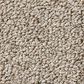 Anderson Tuftex Bali Carpet in Stucco Tan, , large
