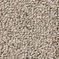 Anderson Tuftex Bali Carpet in Stucco Tan, , large