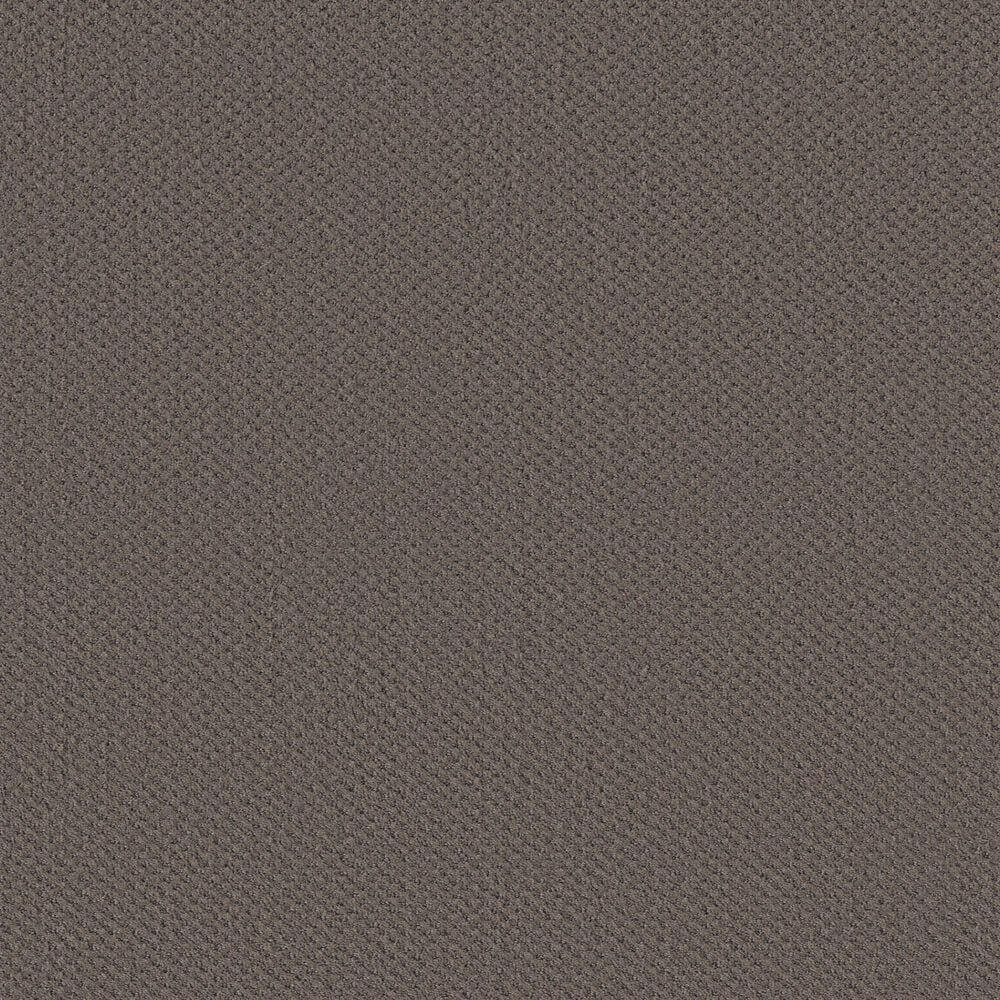 Shaw Austin Park Carpet in Midtown, , large