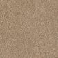 Shaw Tonal Comfort I Carpet in Falling Leaves, , large