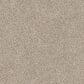 Dixie Home Guard Carpet in Pomeranian, , large