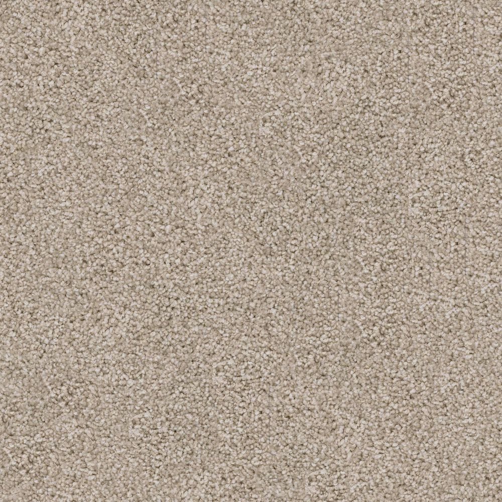 Dixie Home Guard Carpet in Pomeranian, , large