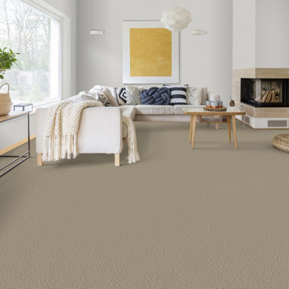 Dixie Home Riverbend Carpet in Pebble, , large