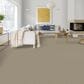 Dixie Home Riverbend Carpet in Pebble, , large