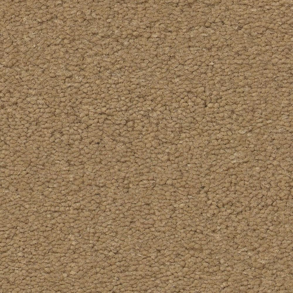 Anderson Tuftex Finery Carpet in Amber Wave, , large