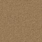 Anderson Tuftex Finery Carpet in Amber Wave, , large