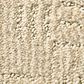 Anderson Tuftex Loredo Carpet in Parchment, , large