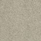 Anderson Tuftex Barracan Classic IV Carpet in Spruce, , large