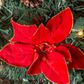 The Gerson Company 6" Pop-Up Decorated Pine Tree with 100 UL Warm White LED Lights in Green, Red and Gold, , large