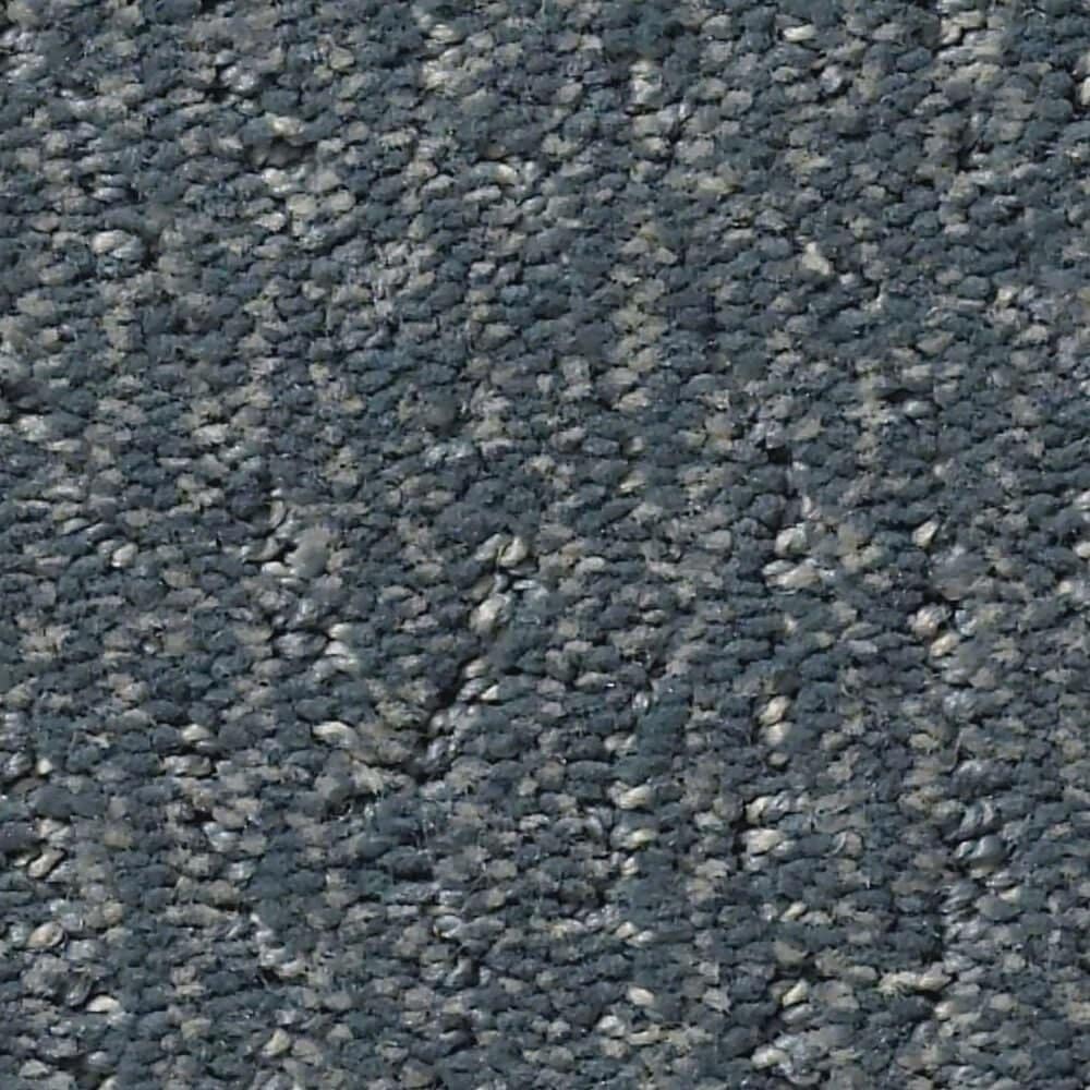 Anderson Tuftex Fur-Ever Carpet in Waterbury, , large