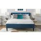 Jennifer Taylor Home Aspen Queen Upholstered Platform Bed in Satin Teal, , large