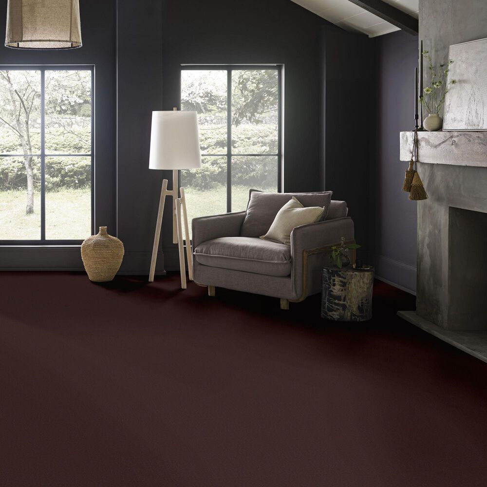 Anderson Tuftex Finery Carpet in Coffee Bean, , large