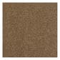 Shaw Phenomenal Carpet in Leather Bound, , large