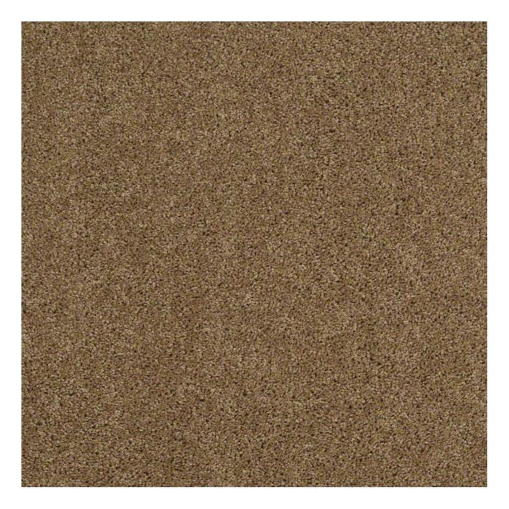 Shaw Phenomenal Carpet in Leather Bound, , large
