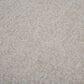 RIZZY Cosgrove Ivory 3" x 5" Area Rug, , large