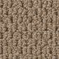 Shaw Perspective Path Carpet in Tavern Creek, , large