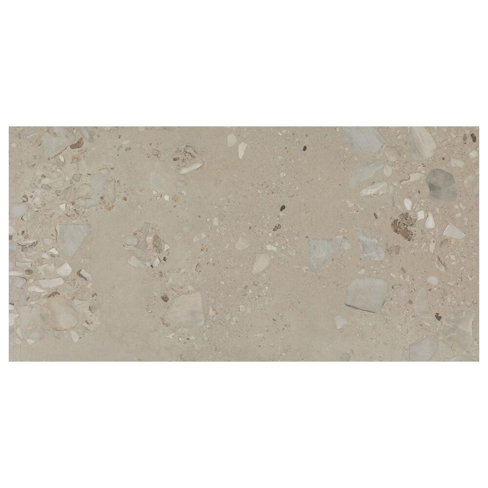 Dal-Tile Sand and Stone Tundra Rectangle Stone 24" x 48" Porcelain Tile, , large