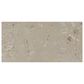 Dal-Tile Sand and Stone Tundra Rectangle Stone 24" x 48" Porcelain Tile, , large