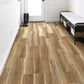 Shaw Tenacious HD Plus Accent Phoenix 7" x 48" Luxury Vinyl Plank, , large
