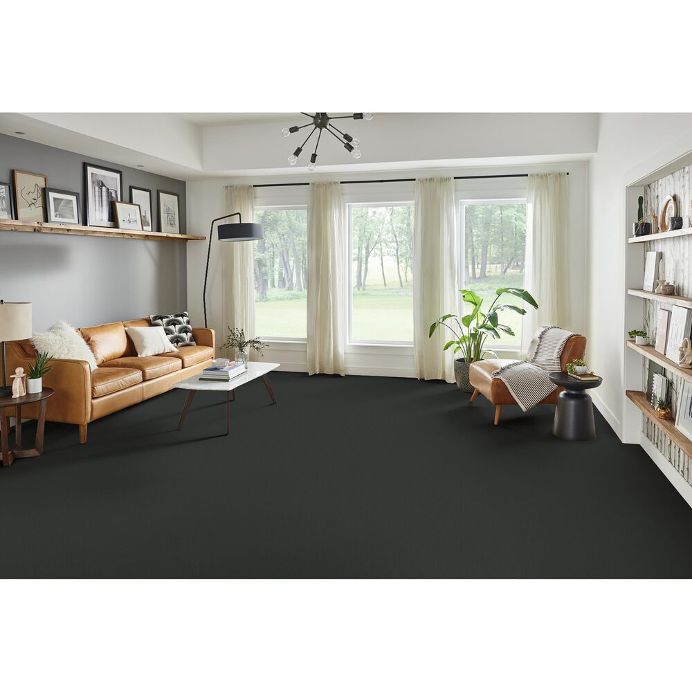 Phenix Emerson Carpet in Sophistication, , large