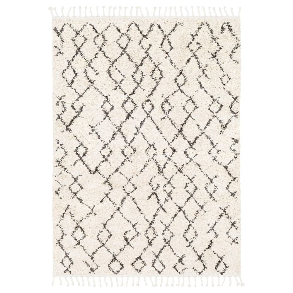 Surya Berber Shag BBE2301 6"7" x 9" Charcoal and Beige Area Rug, , large