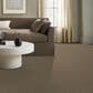 Anderson Tuftex Charismatic Carpet in Weathered, , large