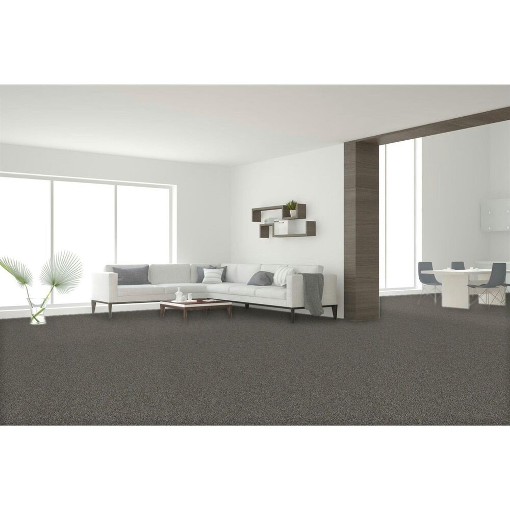 Dream Weaver Gold Standard II Carpet in Topaz, , large