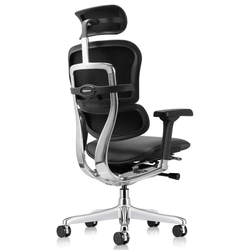 Raynor Group Ergohuman High Back Leather Executive Chair in Black, , large