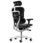 Raynor Group Ergohuman High Back Leather Executive Chair in Black, , large