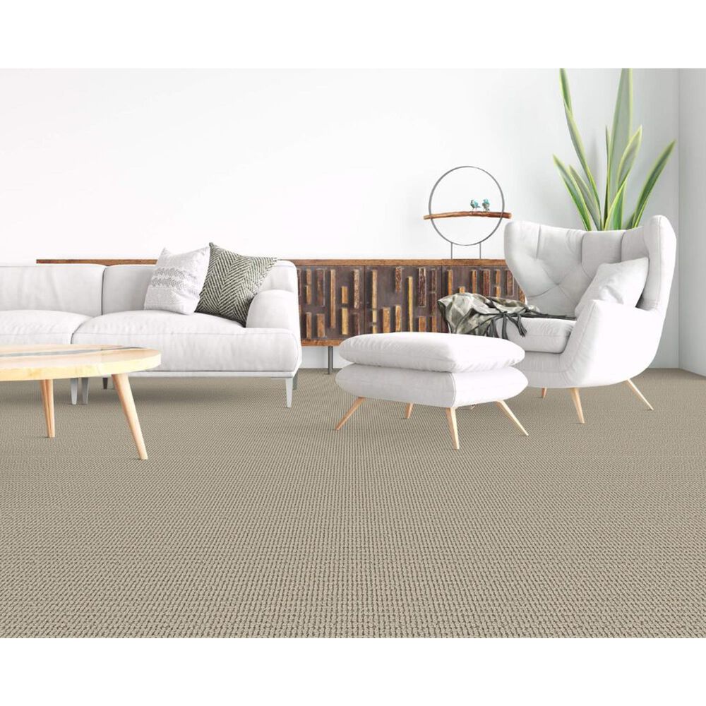 Dixie Home Pleasant Valley Carpet in Ash, , large