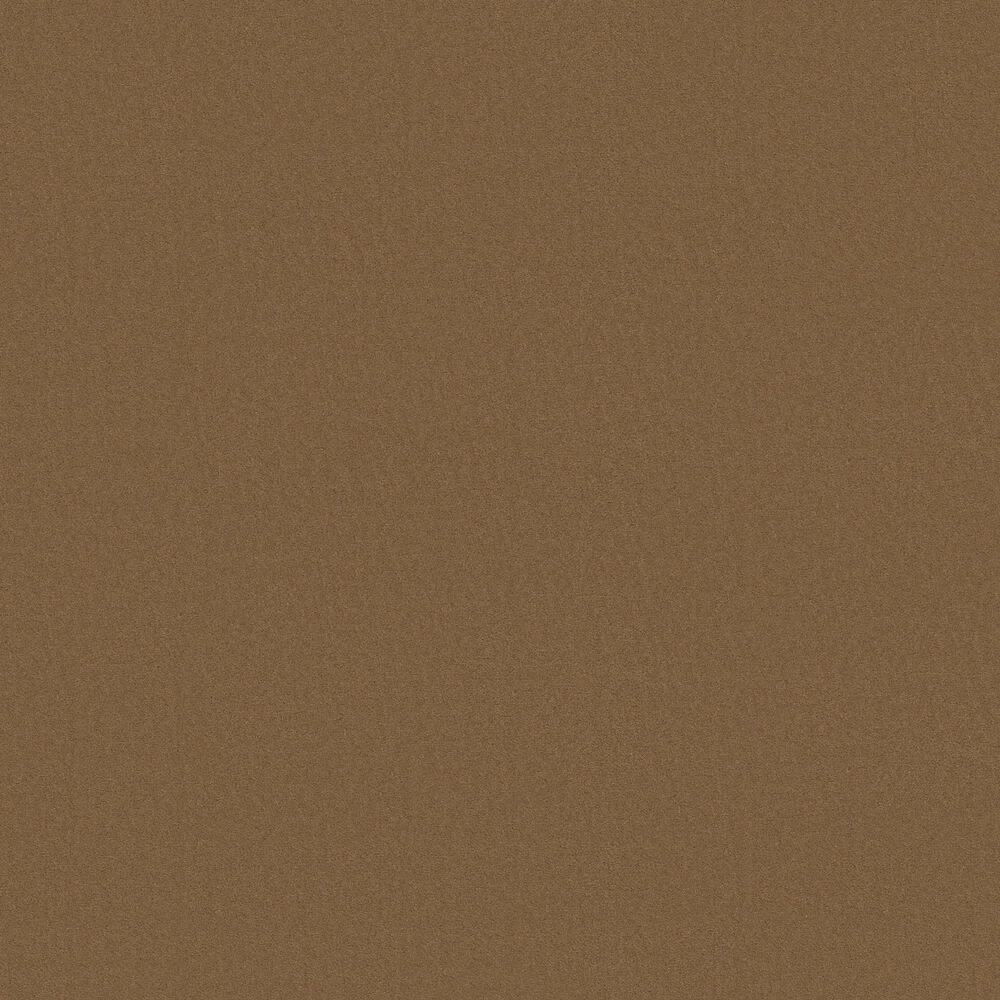 Anderson Tuftex Finery Carpet in Candied Pecan, , large