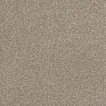 Dream Weaver Lucky Penny III Carpet in Elite, , large