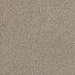 Dream Weaver Lucky Penny III Carpet in Elite, , large