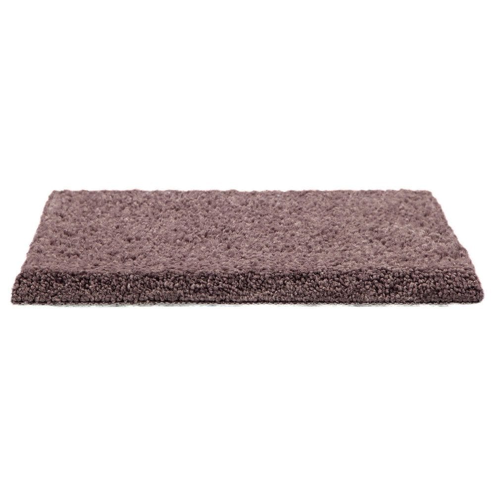 Mohawk Pleasant Touch Carpet in Winter Amethyst, , large