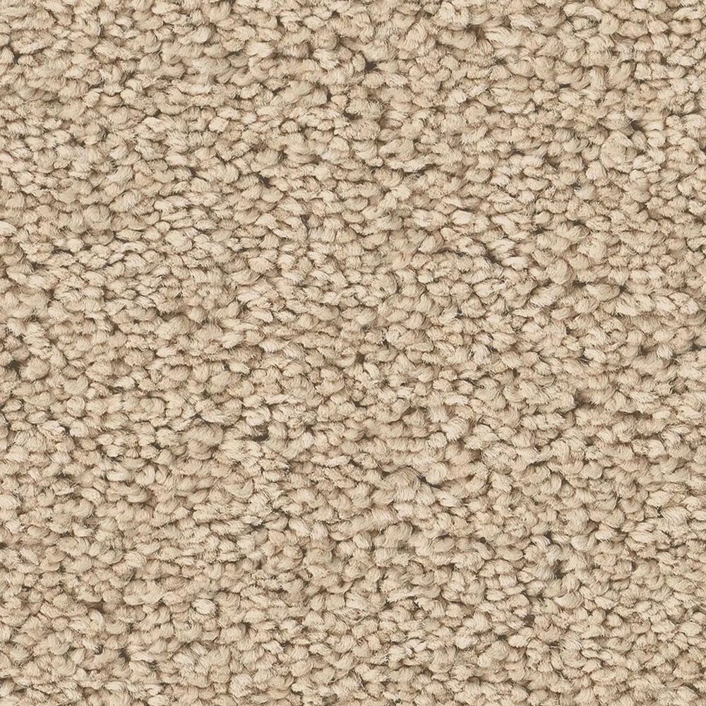 Philadelphia Champagne Taste II Carpet in Cashew, , large
