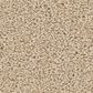 Philadelphia Champagne Taste II Carpet in Cashew, , large