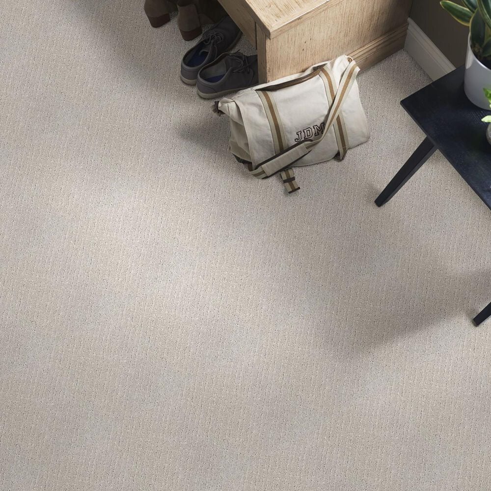 Anderson Tuftex Recital Carpet in Gentle Gray, , large