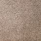Mohawk Natural Selection I Carpet in Hearthstone, , large