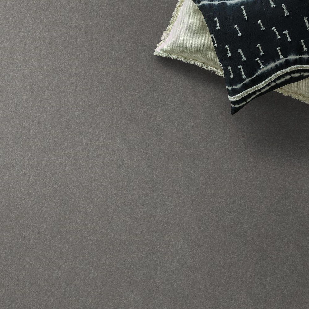 Shaw Hard At Play II Carpet in Vintage, , large