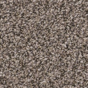 Anderson Tuftex Kaleidoscope Carpet in Natural Stone, , large