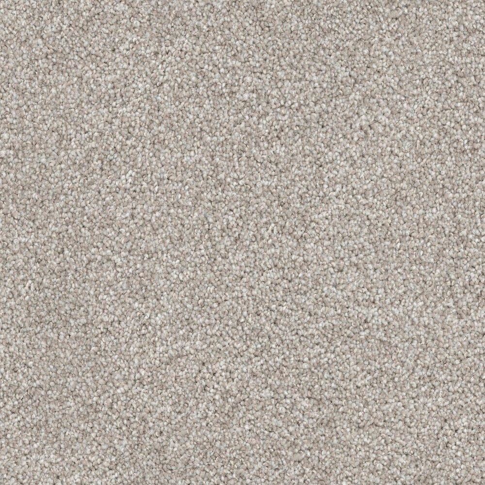Dixie Home Bella Carpet in Yorkie, , large
