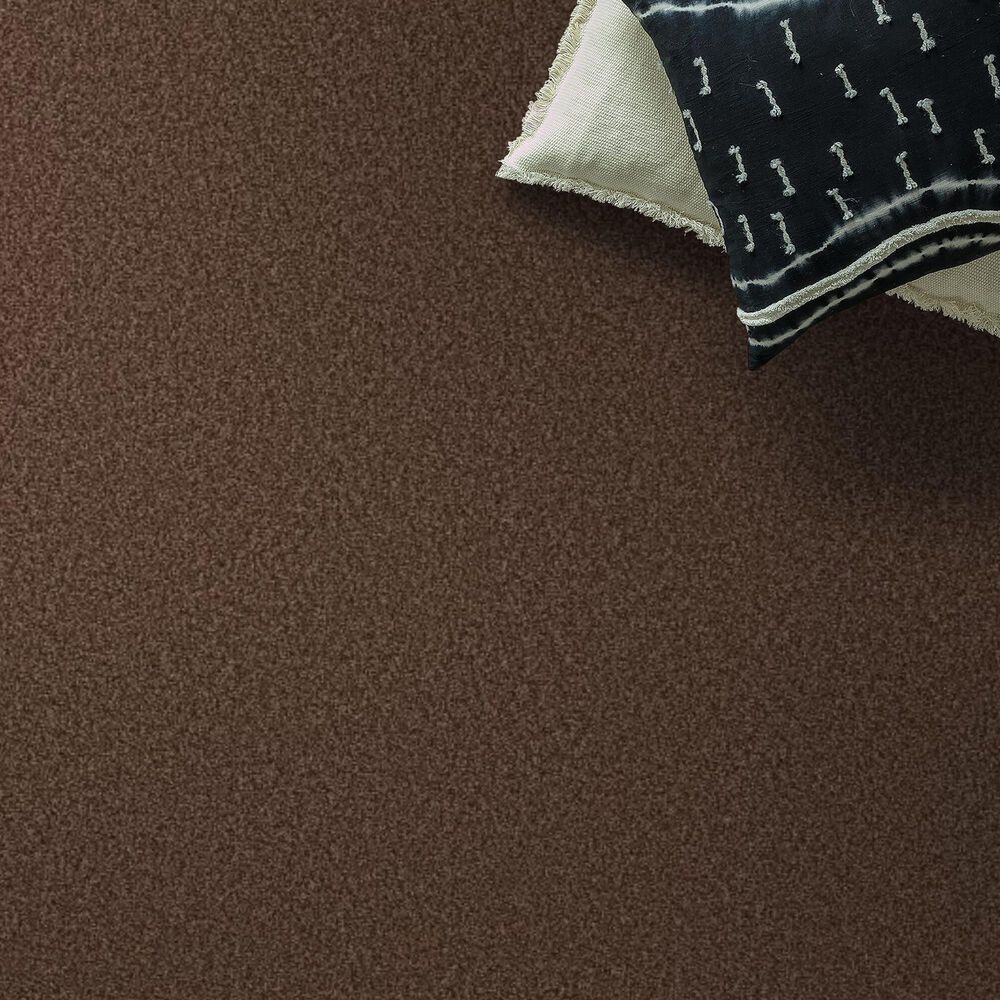 Shaw Tonal Comfort Ii Carpet in Chili, , large