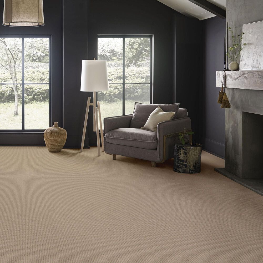 Anderson Tuftex Rhode Carpet in Cork, , large