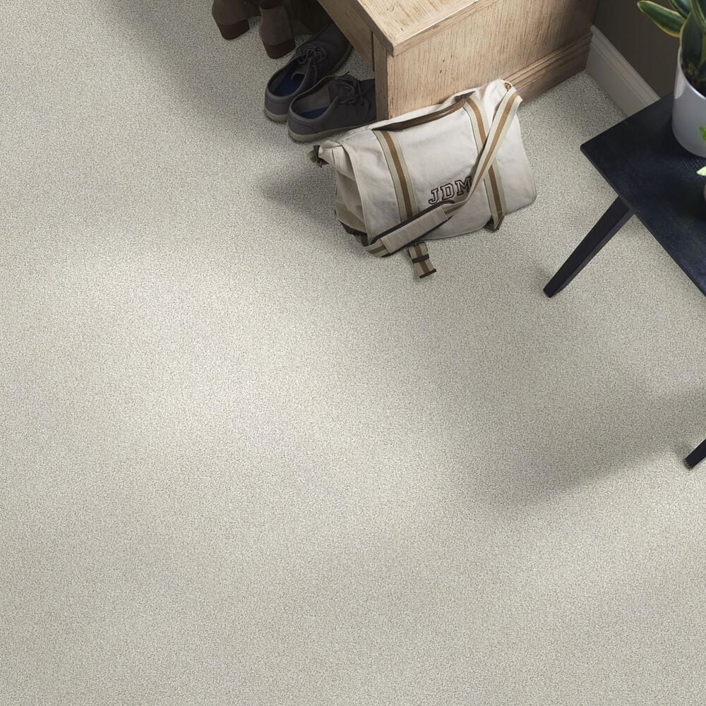 Shaw Find Your Comfort TT II Carpet in Need A Hug, , large