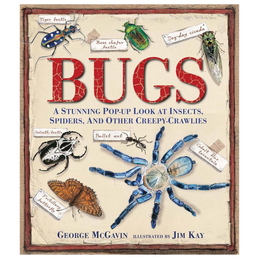 Bugs Pop Up Book, , large