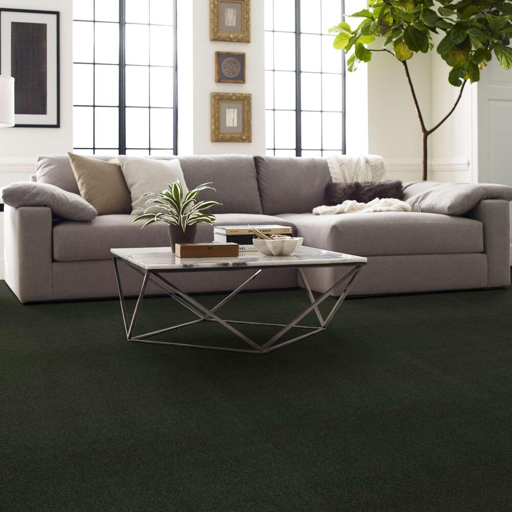 Shaw Luxuriant Carpet in Hidden Valley, , large