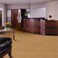 Shaw Latest Trend Carpet in Gold Rush, , large